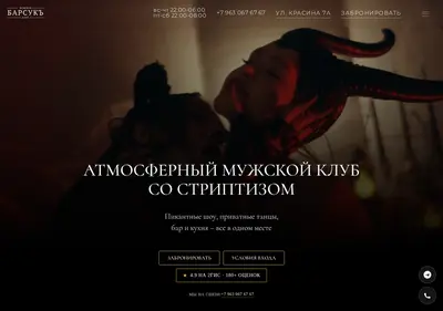 Снимок главной страницы barsukclub.ru