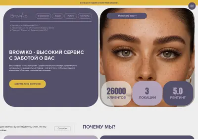 Снимок главной страницы browiko.ru