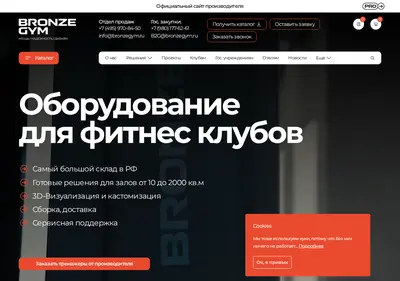 Снимок главной страницы bronzegym.ru