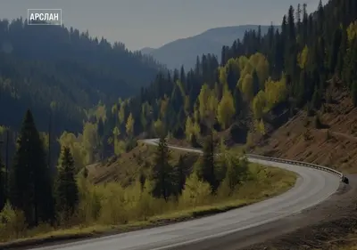 Снимок главной страницы arslan-abzakovo.ru