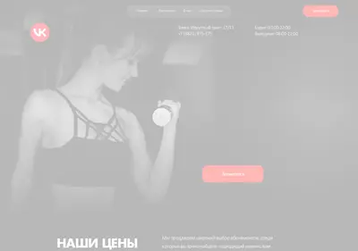 Снимок главной страницы arena1711.ru