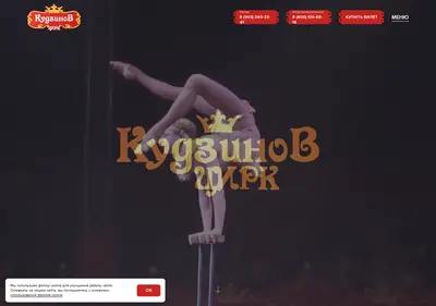 Снимок главной страницы cirk-kudzinov.ru