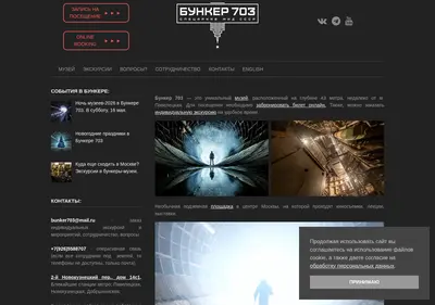 Снимок главной страницы bunker703.ru