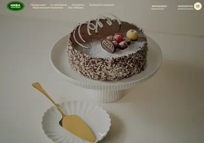 Снимок главной страницы niva.su