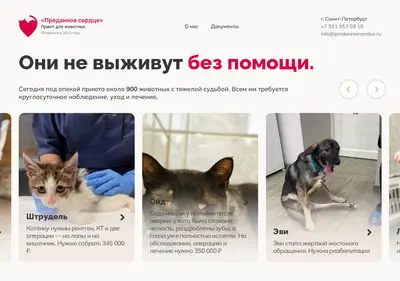 Снимок главной страницы bf-predannoeserdce.ru