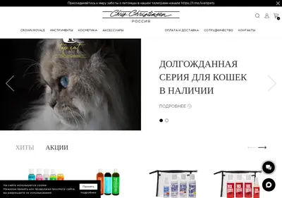 Снимок главной страницы chrischristensen.ru