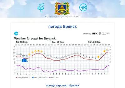 Снимок главной страницы bryanskpogoda.ru
