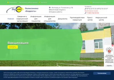 Снимок главной страницы bodrost35.ru