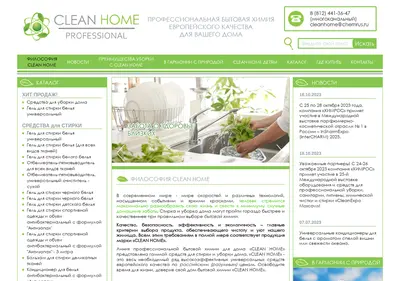 Снимок главной страницы cleanhome-pro.ru