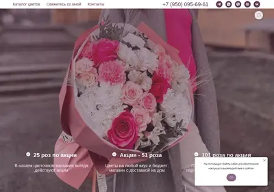 Снимок главной страницы babochkaflowers.ru