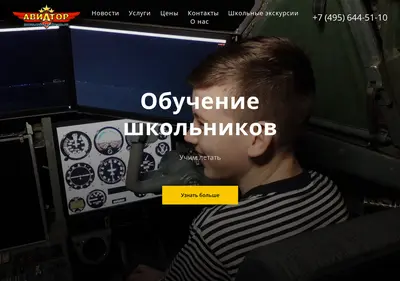 Снимок главной страницы aviator-dream.ru