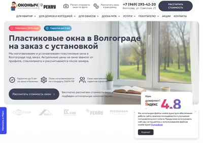 Снимок главной страницы okonych34.ru