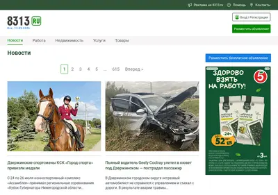 Снимок главной страницы 8313.ru
