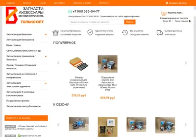 Снимок главной страницы benzopart.ru