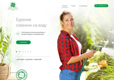 Снимок главной страницы voda33.su