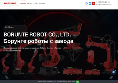 Снимок главной страницы borunterobot.ru