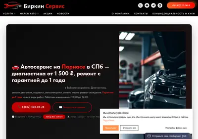 Снимок главной страницы birkinservis.ru