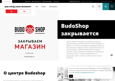 Снимок главной страницы budoshop.ru