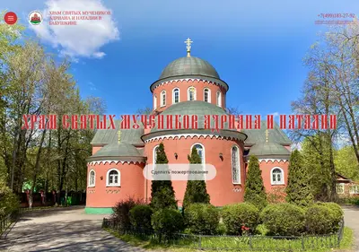 Снимок главной страницы adrian-i-natalia.ru