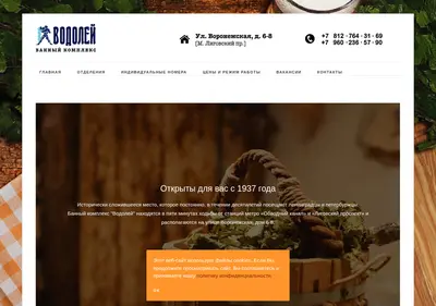 Снимок главной страницы banya-vodoley.ru