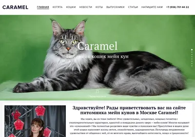Снимок главной страницы caramelcat.ru