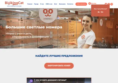 Снимок главной страницы bookingcat.ru