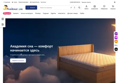 Снимок главной страницы academson.ru