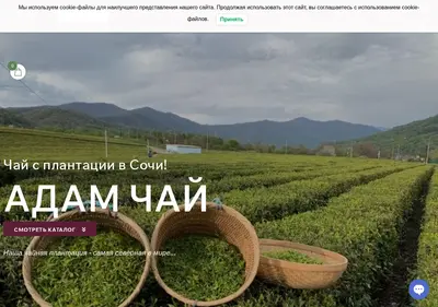 Снимок главной страницы adamtea.ru