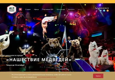 Снимок главной страницы circus-bryansk.ru