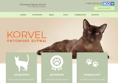Снимок главной страницы burma-korvel.ru