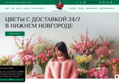 Снимок главной страницы centrroznn.ru