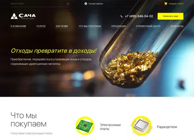 Снимок главной страницы sacha.su