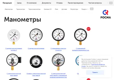 Снимок главной страницы rosma.spb.ru