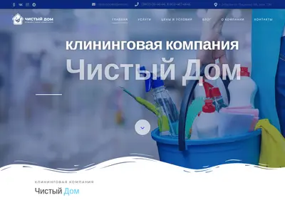 Снимок главной страницы clean-houses.ru