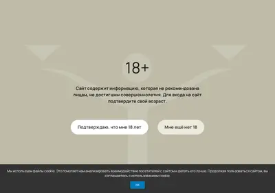 Снимок главной страницы balace.ru