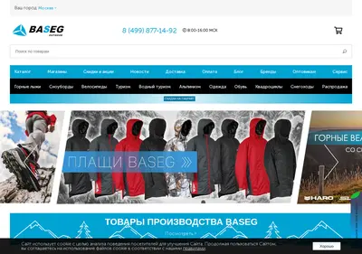 Снимок главной страницы baseg.ru