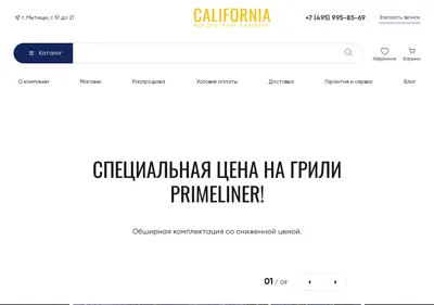 Снимок главной страницы c-grills.ru