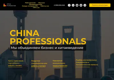 Снимок главной страницы chinaprofessionals.ru