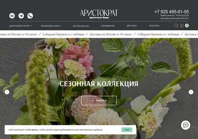 Снимок главной страницы aristocrat-lite.ru