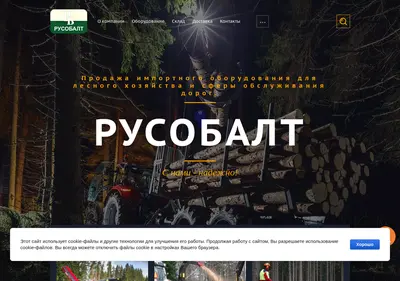 Снимок главной страницы baltstrim.ru