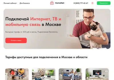 Снимок главной страницы homenet.su