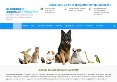 Снимок главной страницы aibolitpodolsk.ru