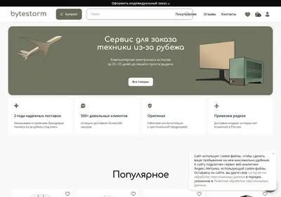 Снимок главной страницы byte-storm.ru