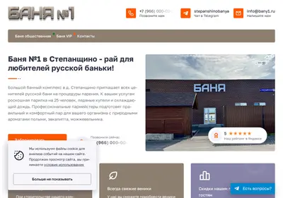 Снимок главной страницы bany1.ru