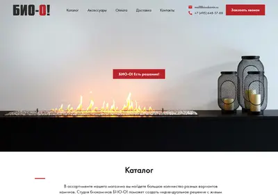 Снимок главной страницы biookamin.ru