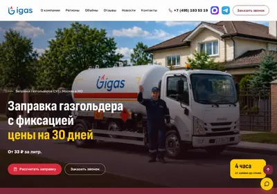 Снимок главной страницы igas.su