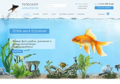 Снимок главной страницы teleskop-akvarium.ru