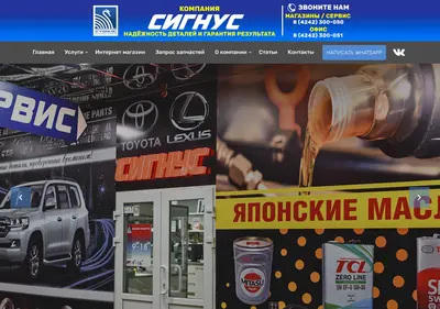 Снимок главной страницы cygnus.su