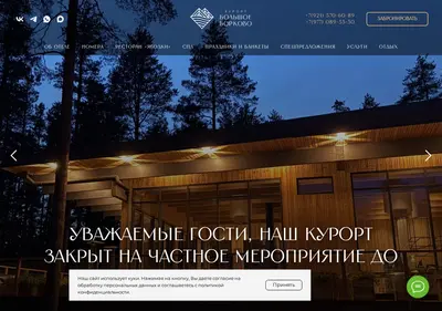 Снимок главной страницы bolshoeborkovo.ru