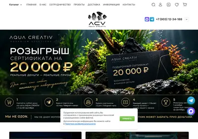 Снимок главной страницы aquacreativ.ru
